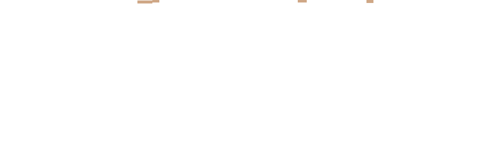 Code_8281_overlay